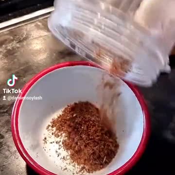 You Will Eat Bug Burgers and Be Happy