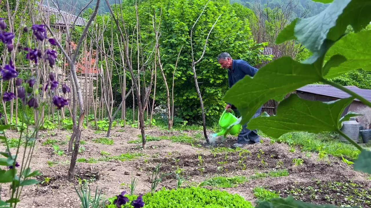 A Taste of Life in the Mountains! Culinary Adventure in a Remote Village
