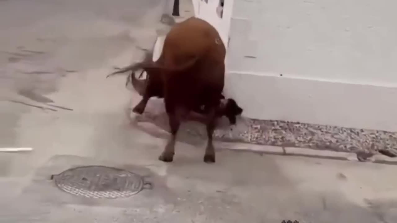 @&&£