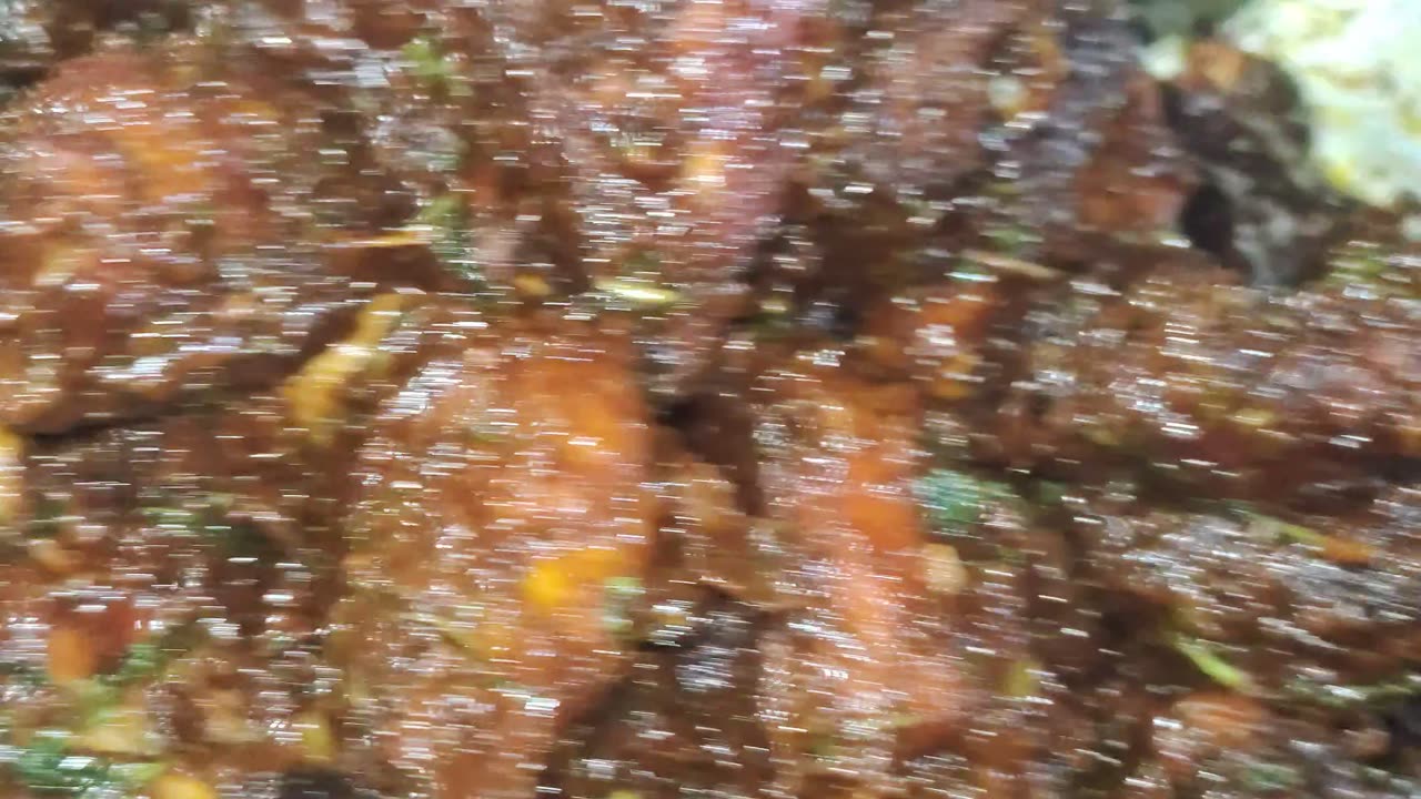 chicken 🍗 peace 😋😋😋🍗🍗🍗 चिकन लेग पीस