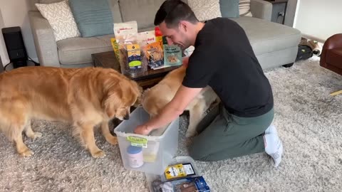 Finding the best dog treat!