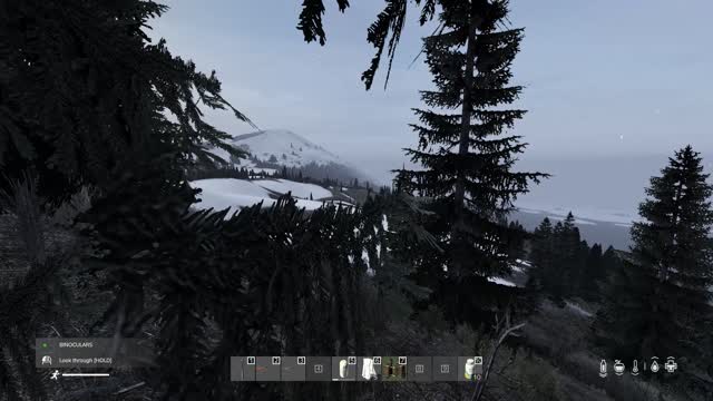 Dayz - Pioneer long range (latest) - Sippin