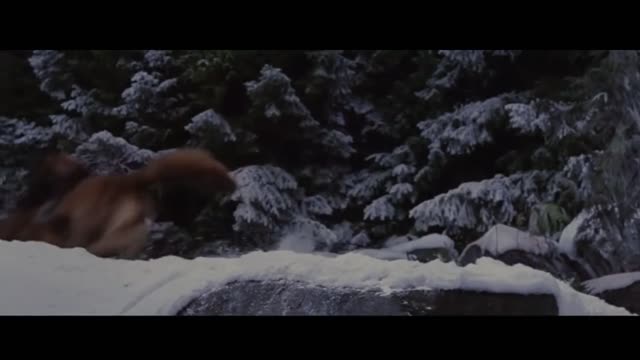 https://youtu.be/tClYUSUkD_g-Battle of the Boers