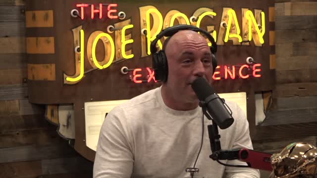 Joe Rogan.. The Strange Ongoing Saga of FTX and Sam Bankman-Fried