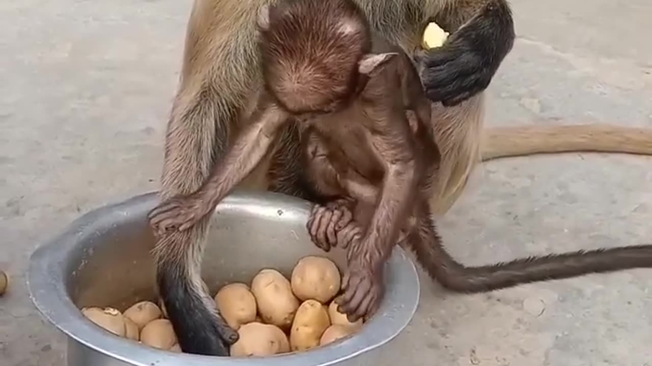 Funny