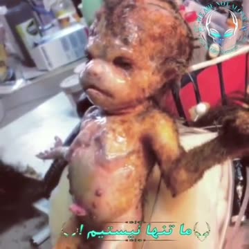 NEW Hybrid Child Video Arises