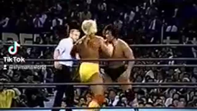 Hulk Hogan vs. TENRYU