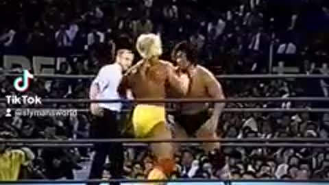 Hulk Hogan vs. TENRYU