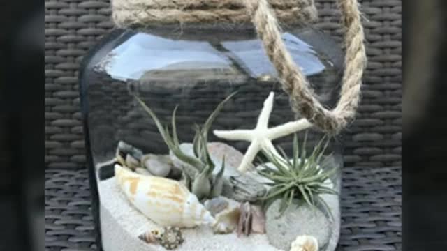 Beautiful seashell craft/home decoration with jewellery designs