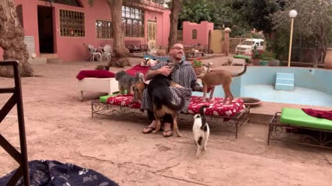 Guy Gets Bombarded With Hugs From Animals At Rescue Centre