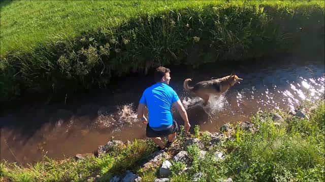 Man playing with his dog in the stream, an enjoyable moment for both of them