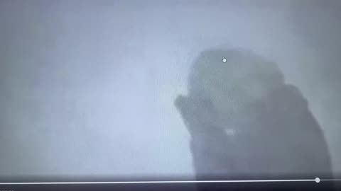 Lying Idiot figured it out 🤣🤣🤣