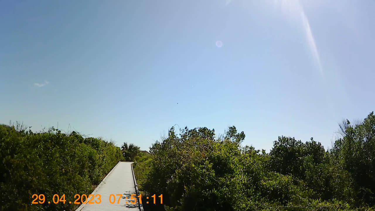 Little Talbot Island State Park, Florida Dune to Beach