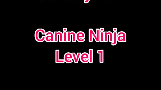 Tindrah ICE Canine Ninja Level 1 February 2022 ❤Love❤Props