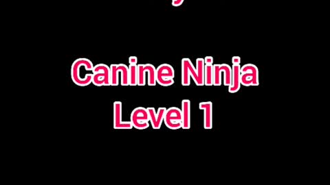 Tindrah ICE Canine Ninja Level 1 February 2022 ❤Love❤Props