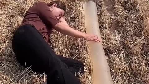 Funny video