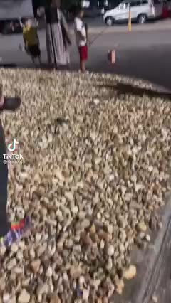 This kid has some talent