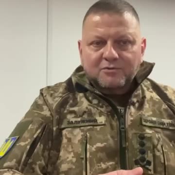 Top Ukrainian General Zaluzhny demands that Kiev PUNISH deserters