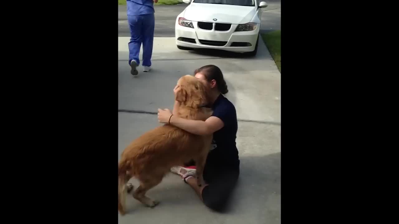 Animals Reunited With Owners AFTER YEARS!