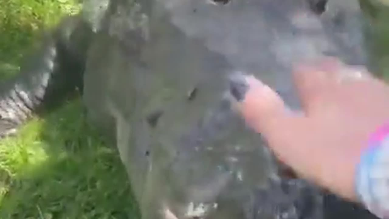 ΕΚΑΝΕ ΤΟΝ ΚΡΟΚΟΔΕΙΛΟ ΚΑΤΟΙΚΙΔΙΟ