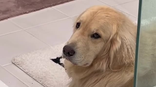 When dad starts to give commands when we both know mom is the boss