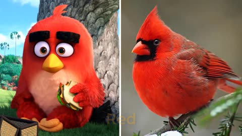 Angry Birds Characters In Real Life