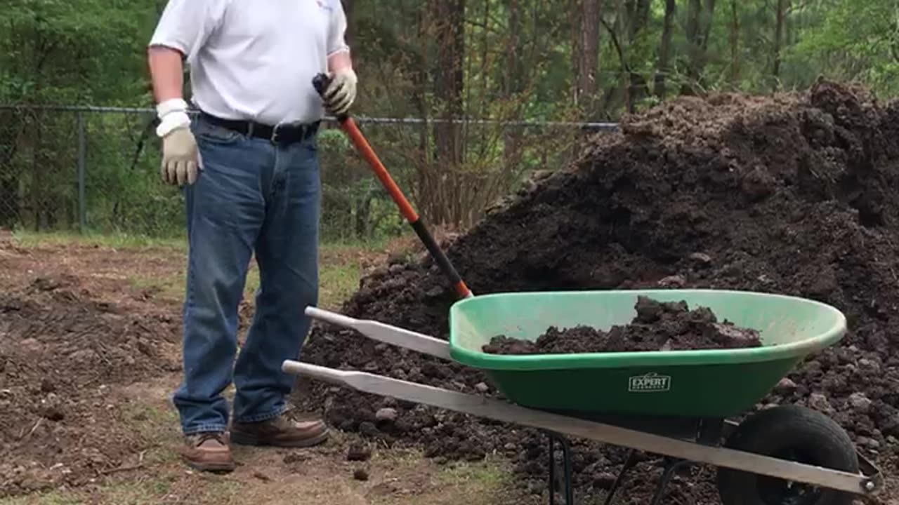 Trump Shovel Ready