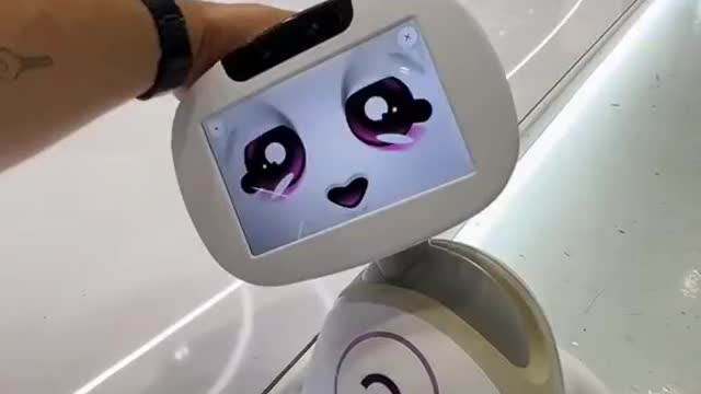 Emotional Support Robot From France