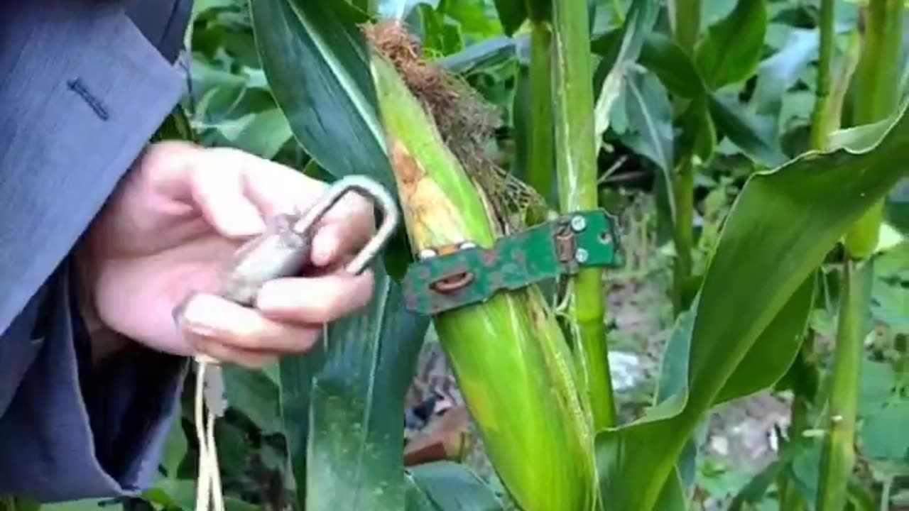 Funny video 🤣🤣🤣