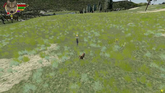 Mimic's Wolfquest AE all single player achievements - 19