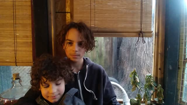 Questions about bees