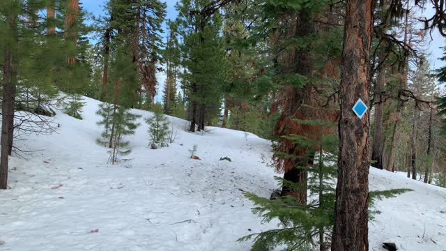 Trail Perspective of Ochoco Way Loop – Central Oregon – Bandit Springs Sno-Park – 4K