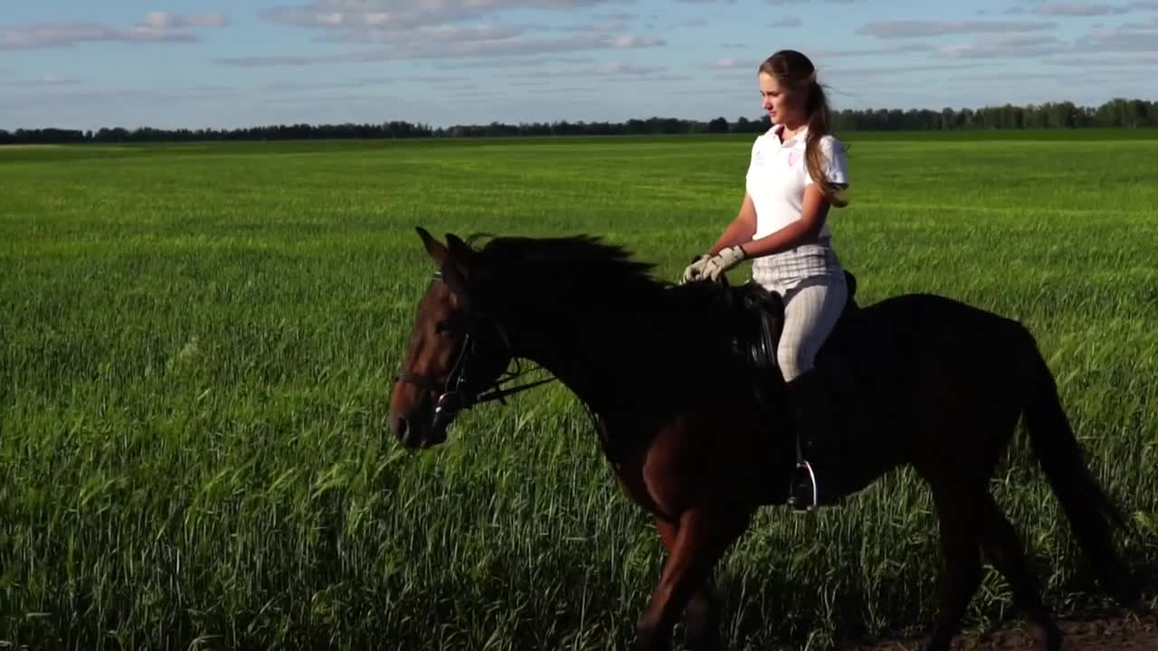 Young woman rider riding a horse on the field