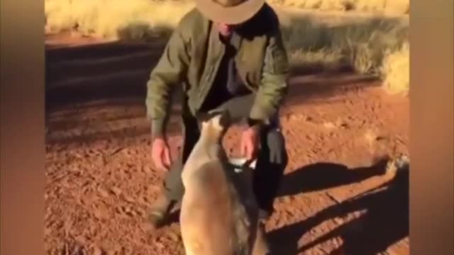 HUGS - Universal Cross Species Language Of Love