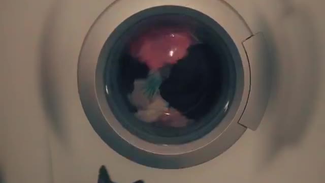 Cat and the washing machine :D