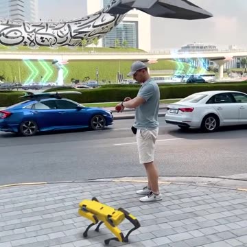 Dubai future of dubai