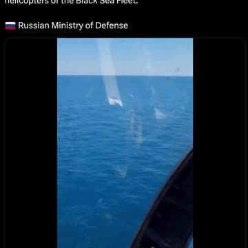 Pappa Bear 15 🏟️ Khazarian AshkeNAZIs 0