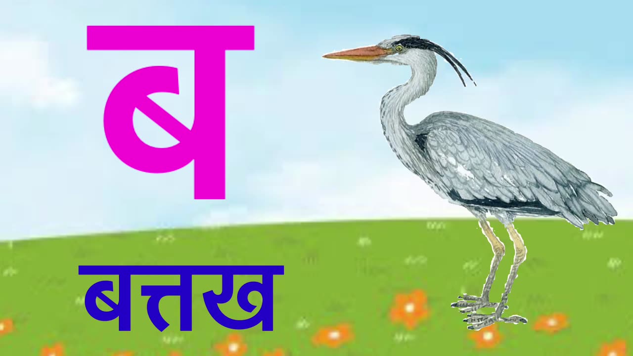 Kid's Hindi learning video