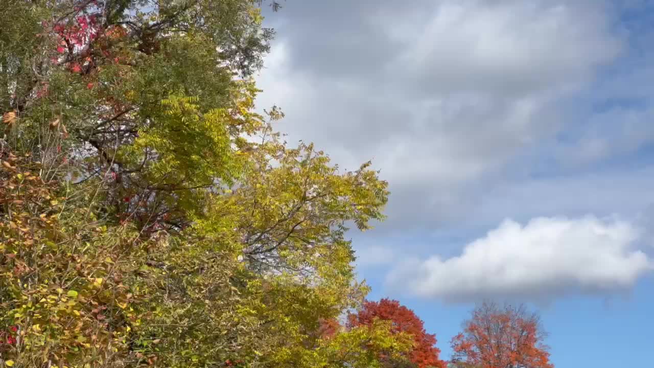 Humber River James Gardens autumn colors