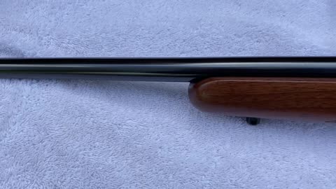 CZ 527 American 17 Hornet