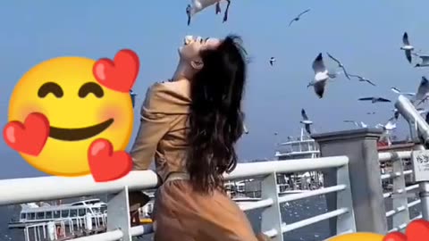 How to get a job in about one for the worthy to get a new car