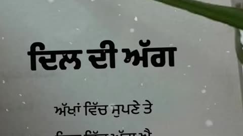 New punjabi shyri