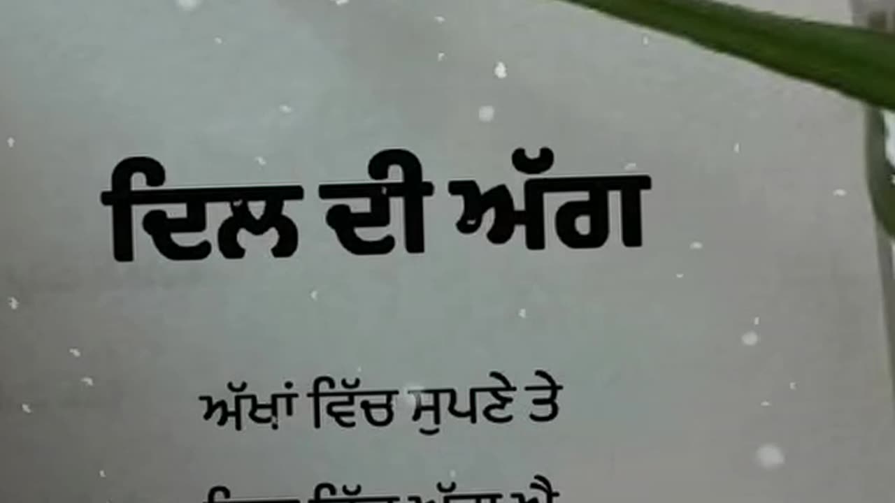 New punjabi shyri