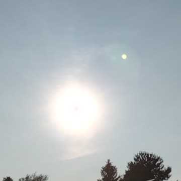 My SUN THE LAST FEW DAYS.