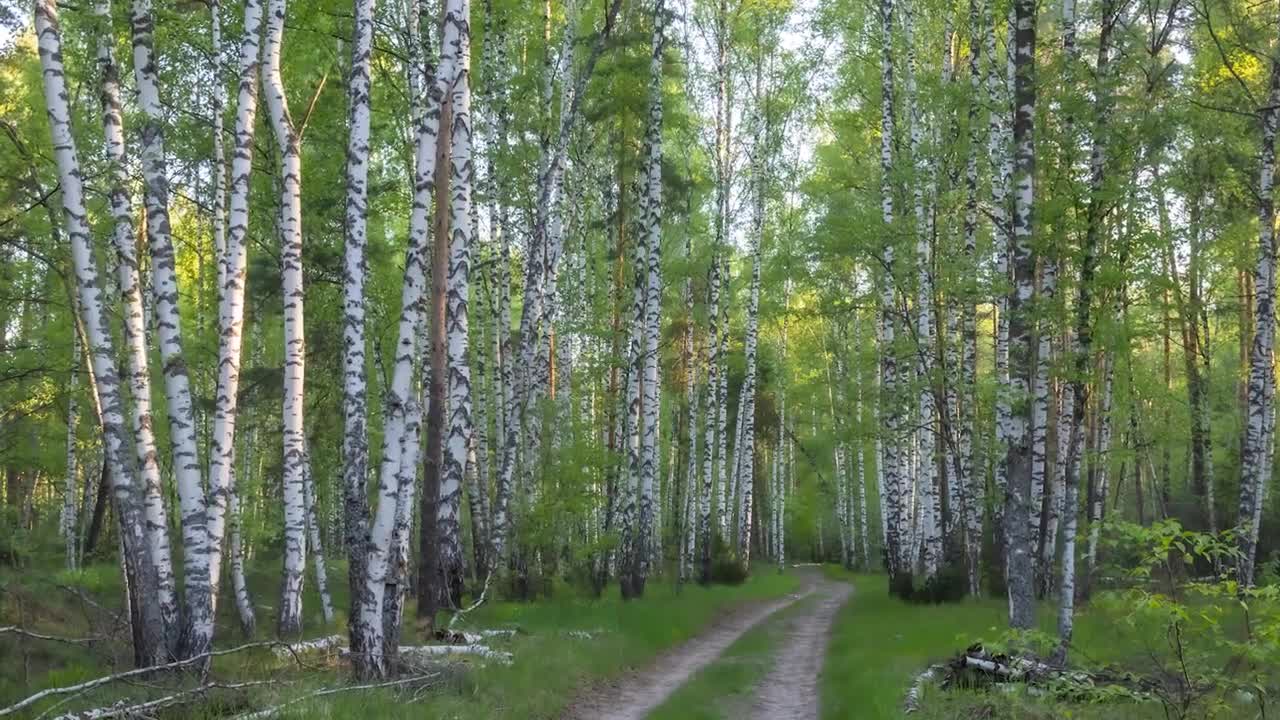 В гостях у Макса, Михаил Веревченко. Как сделать красивое пейзажное фото |16+