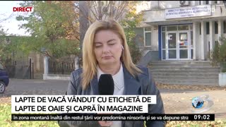 Fraudă alimentară în România. Înlocuiau laptele de oaie sau de capră cu lapte de vacă