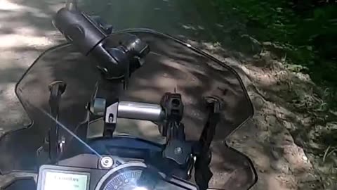 Ktm 1090 adventure r on forestry roads