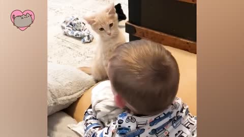 Best video of Cute Babies and Pets - Funny Baby and Pet