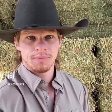 McDonald's Quarter Pounder has 1300 different DNA strands???