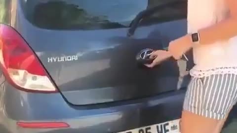 Puppy power